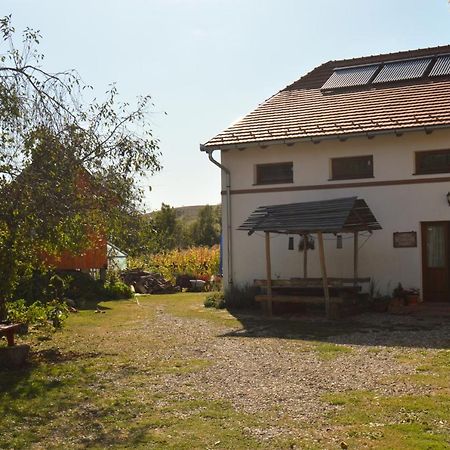 Pensiune Agroturistica Hanna Ocland Buitenkant foto