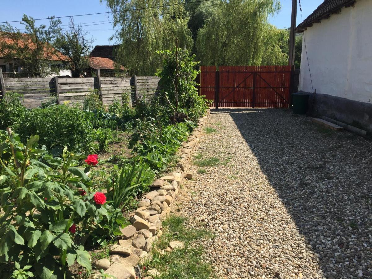 Pensiune Agroturistica Hanna Ocland Buitenkant foto