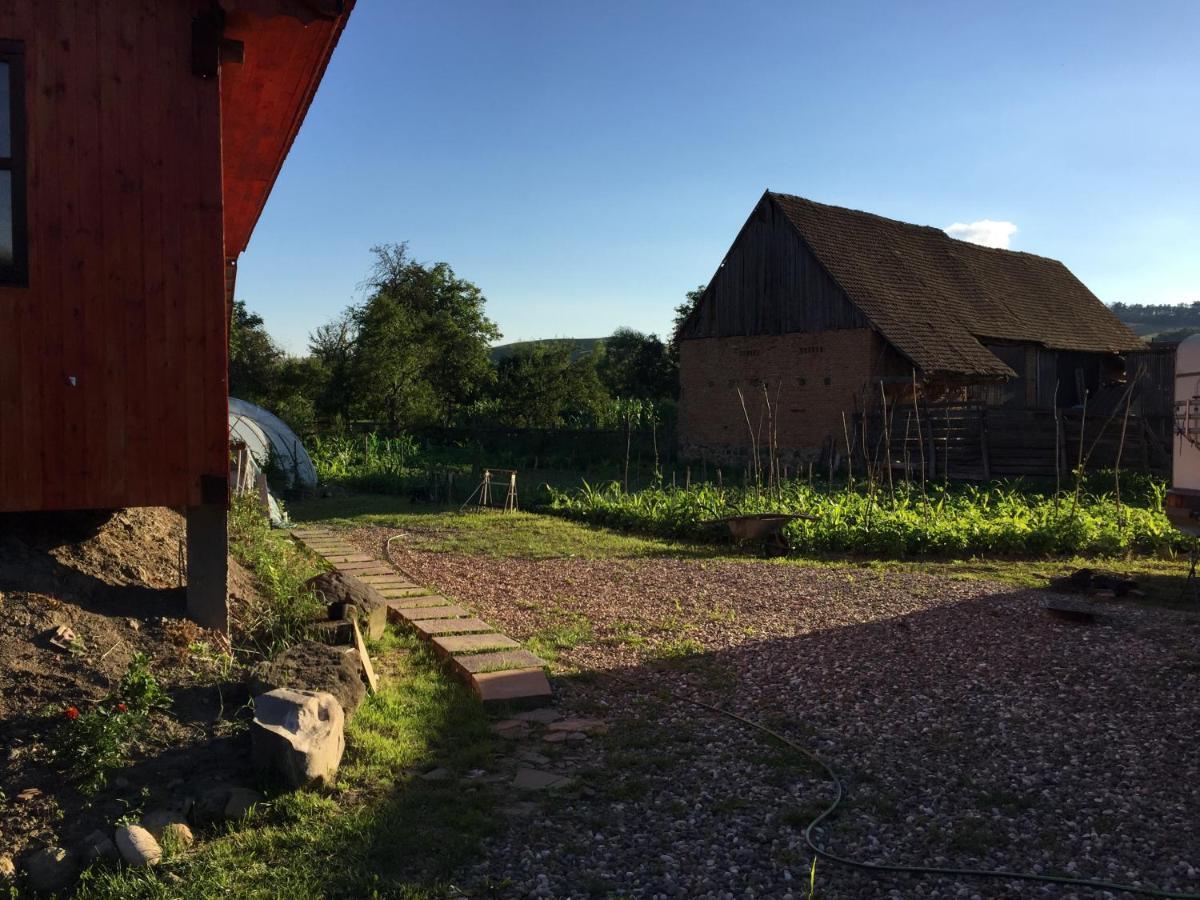 Pensiune Agroturistica Hanna Ocland Buitenkant foto