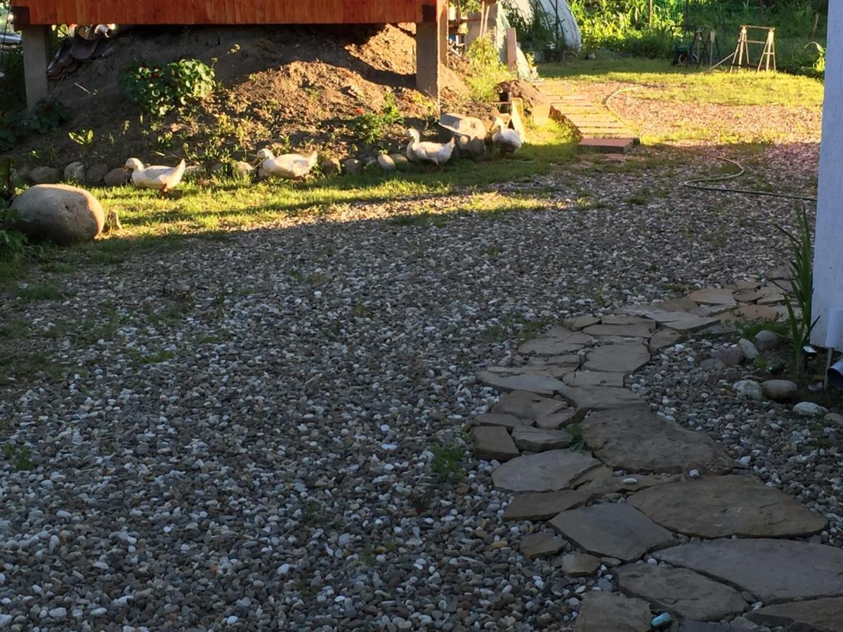 Pensiune Agroturistica Hanna Ocland Buitenkant foto