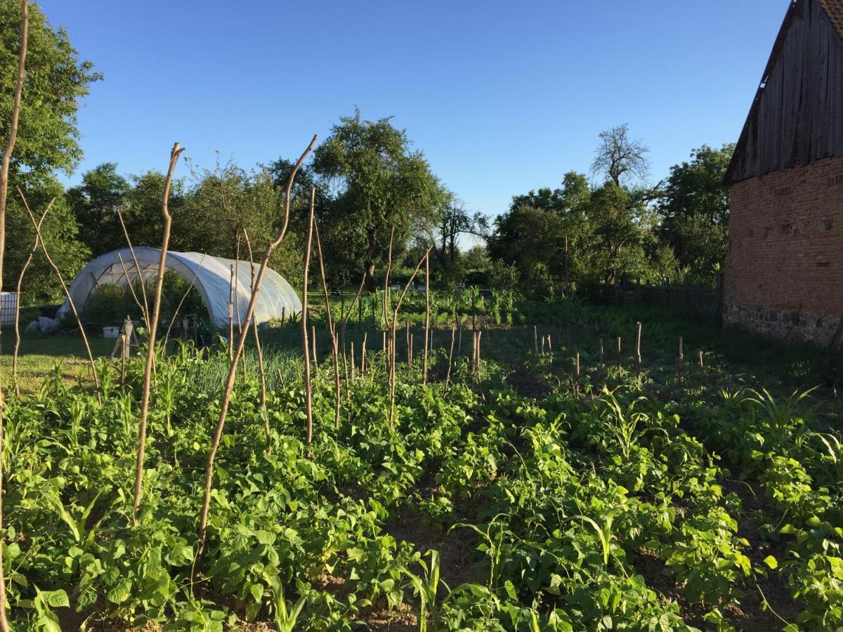 Pensiune Agroturistica Hanna Ocland Buitenkant foto